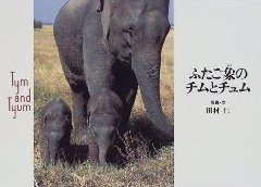 ふたご象のチムとチュムの画像