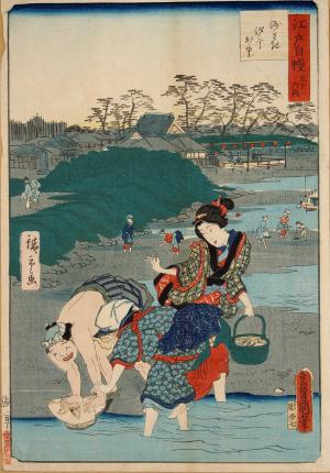 Thirty-six enjoyments of Edo: Susaki Shiohigari
