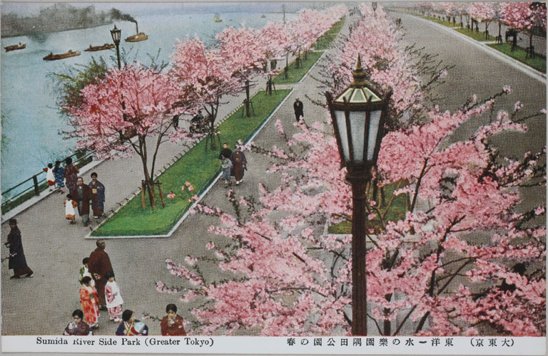 哌 mꐅ̊yc̏t Sumida River Side Park (Greater Tokyo)̉摜