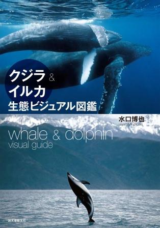クジラ&イルカ生態ビジュアル図鑑表紙画像